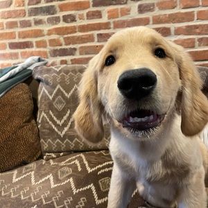 Meet your Posher, Chiara